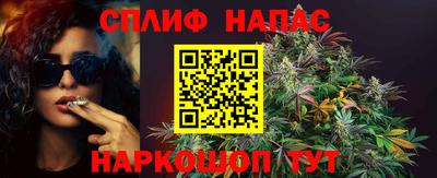 гидропоника Дубна