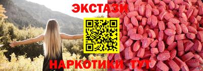 гидропоника Дубна